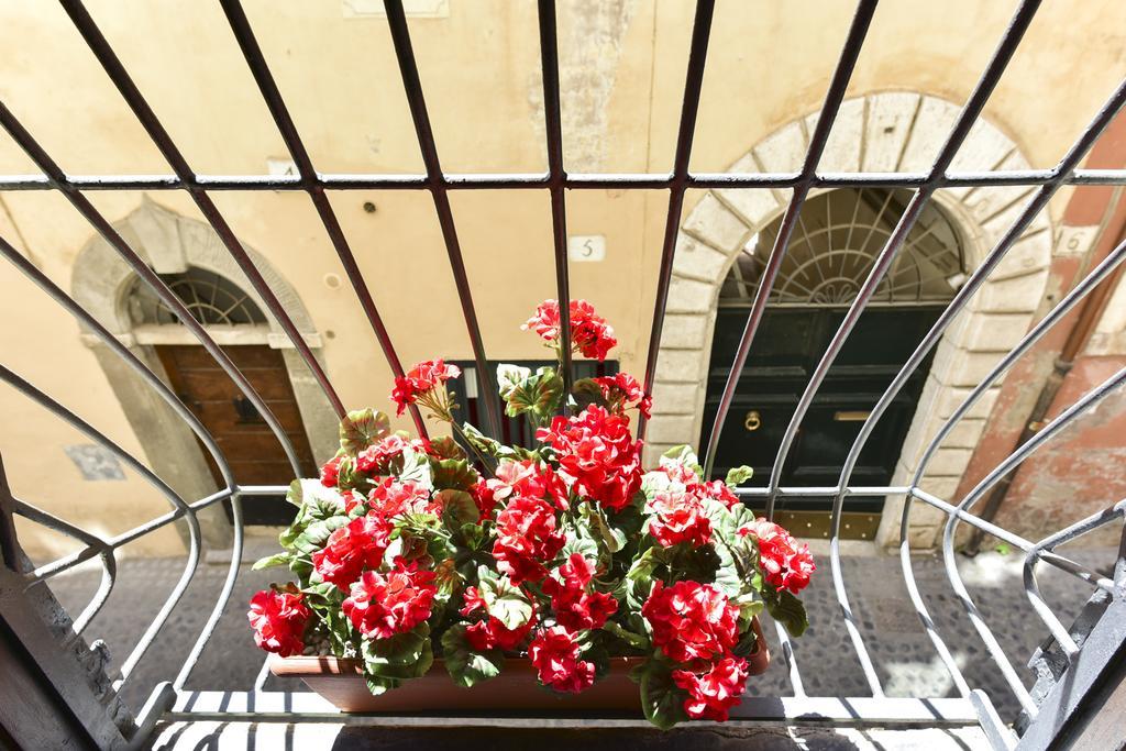 Maison Del Fico Piazza Navona Rome Exterior photo